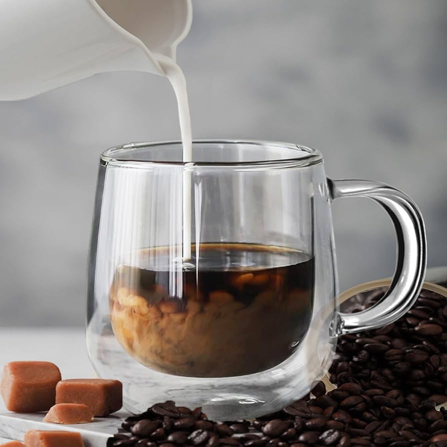 Double Wall High Borosilicate Glass Mug 