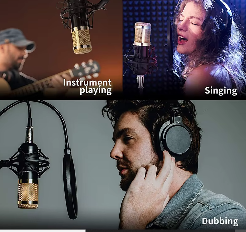 BM800 Microphone Kit