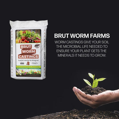 Natural Organic Worm Castings Soil Builder