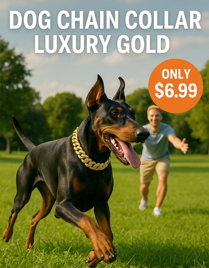 Dog Chain Collar Luxury Gold