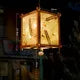 Retro Style Chinese DIY Palace Portable Blossom Flower Light Lamp 