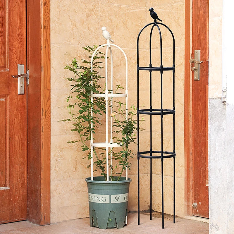 Climbing Plant Trellis