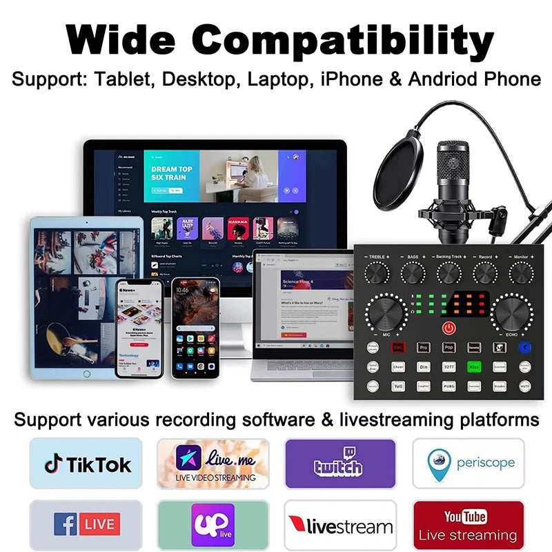 BM800 Microphone Kit