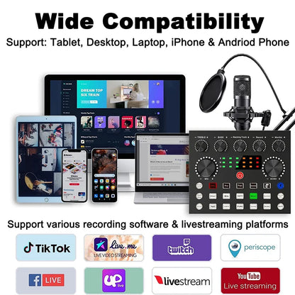 BM800 Microphone Kit