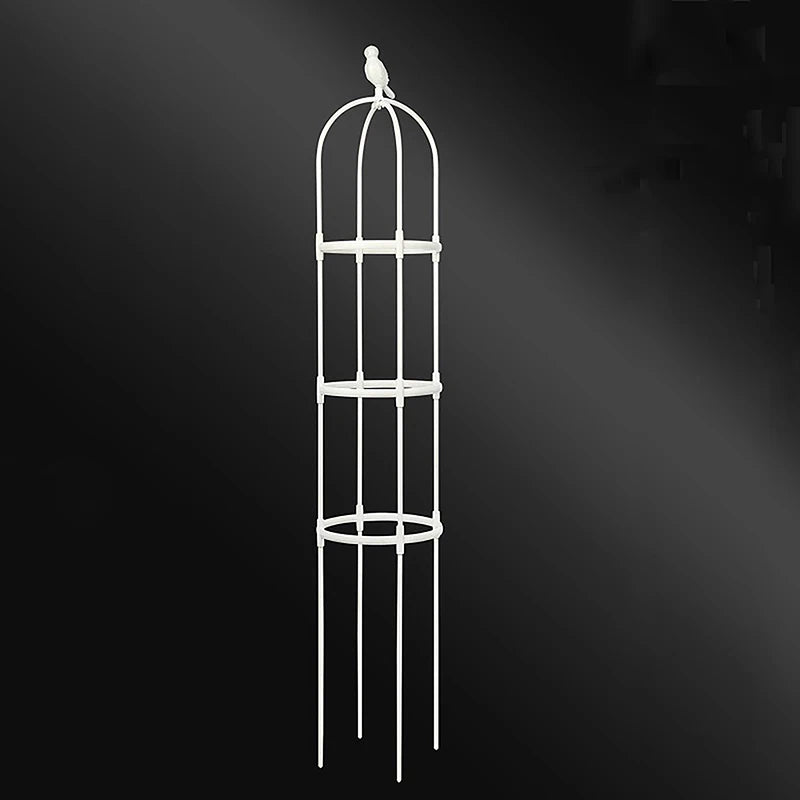 Climbing Plant Trellis