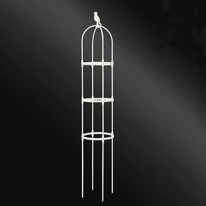 Climbing Plant Trellis