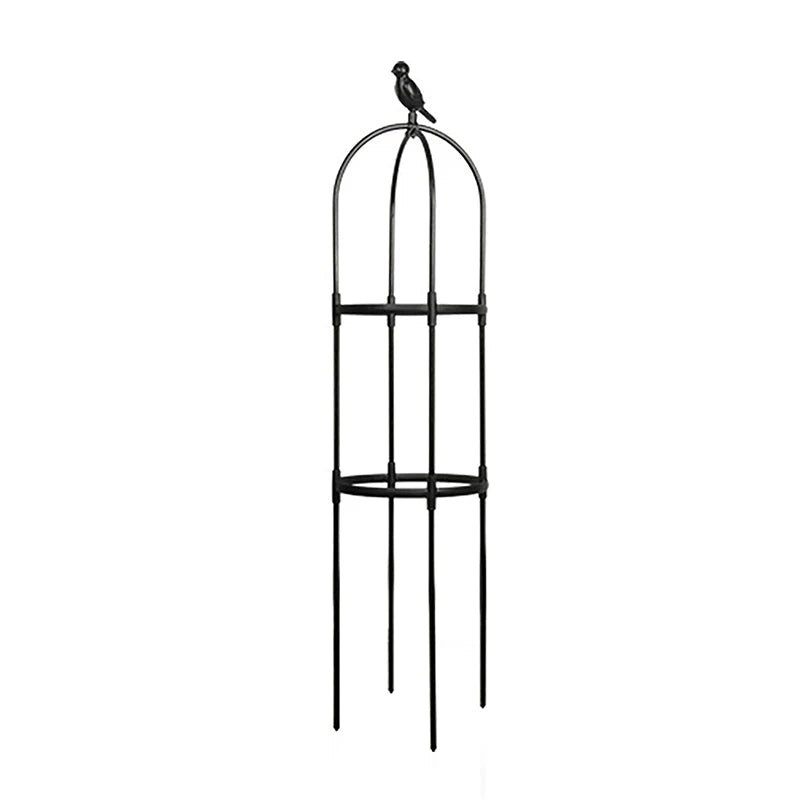 Climbing Plant Trellis