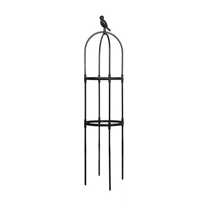 Climbing Plant Trellis