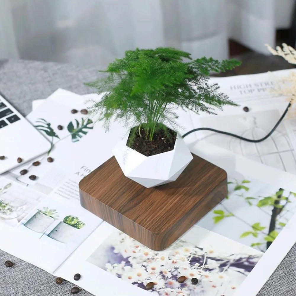 Floating Levitating Magnetic Plant Pot