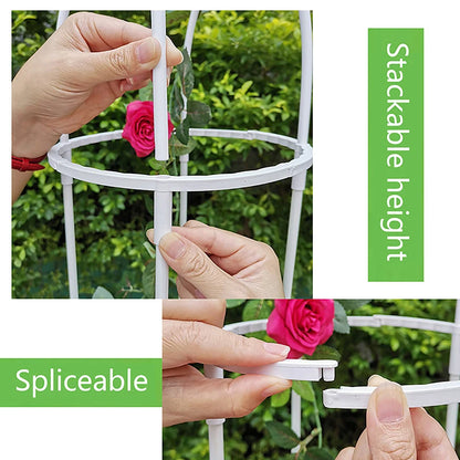 Climbing Plant Trellis