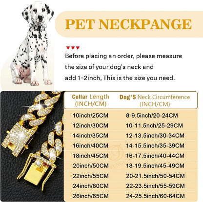 Dog Chain Collar Luxury Gold 