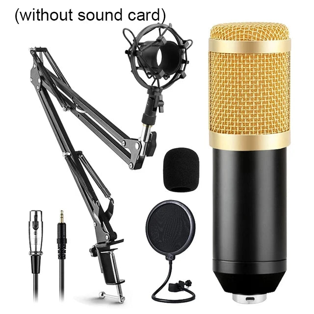 BM800 Microphone Kit