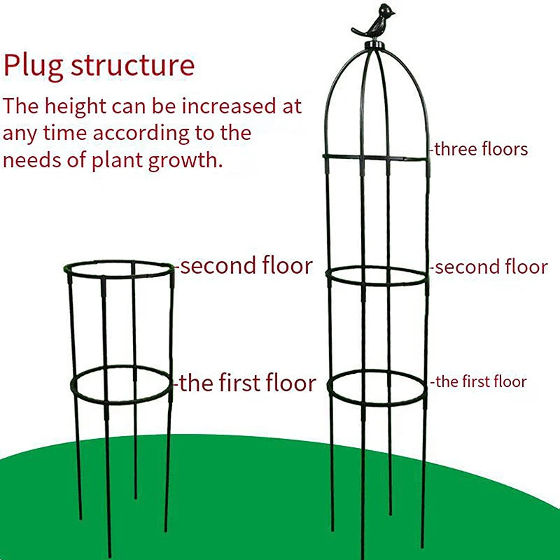 Climbing Plant Trellis