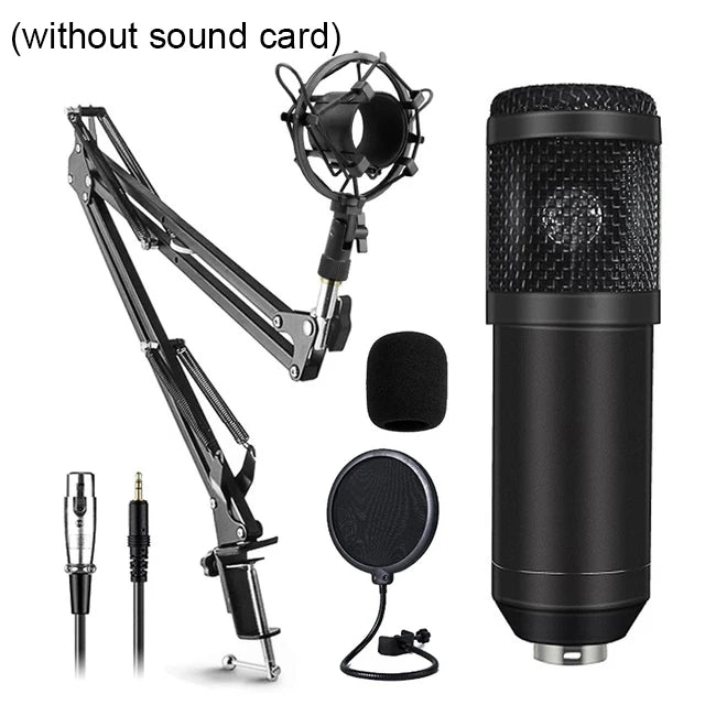 BM800 Microphone Kit