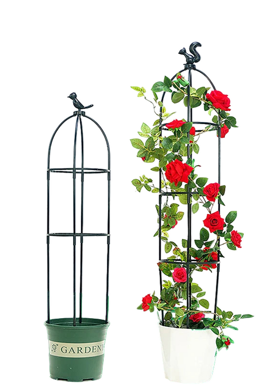 Climbing Plant Trellis