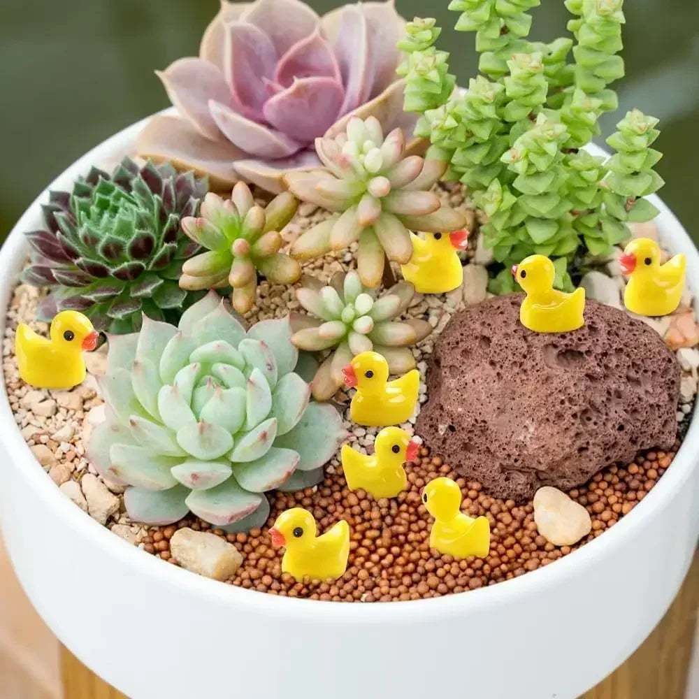 Set Mini Resin Tiny Ducks 