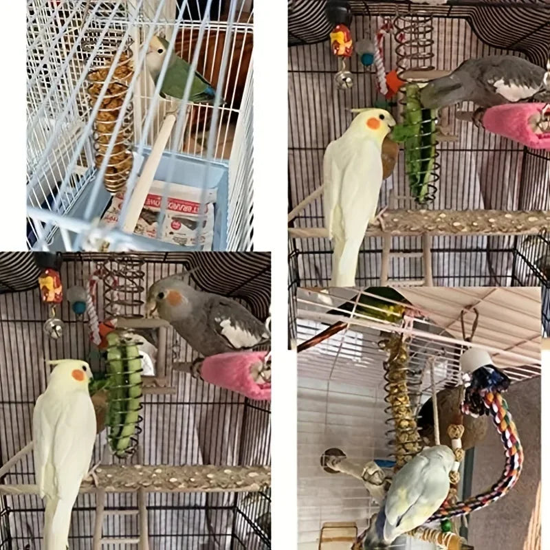 Stainless Steel Parrot Forager Feeder Durable Outdoor Bird Feeding