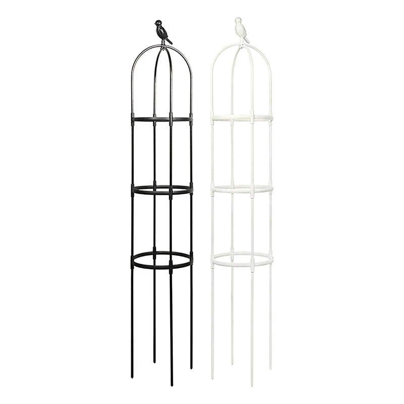 Climbing Plant Trellis