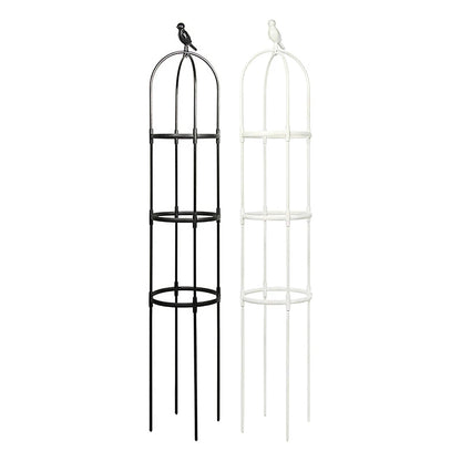 Climbing Plant Trellis
