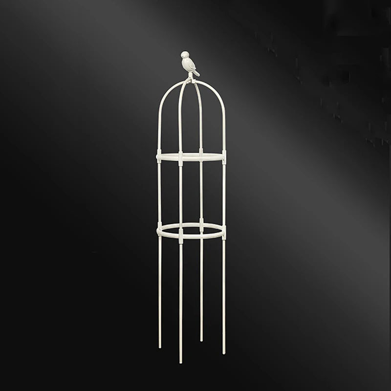 Climbing Plant Trellis