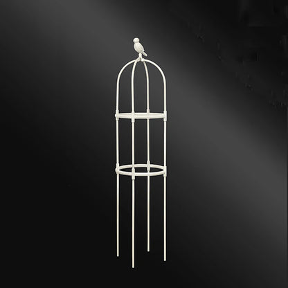 Climbing Plant Trellis