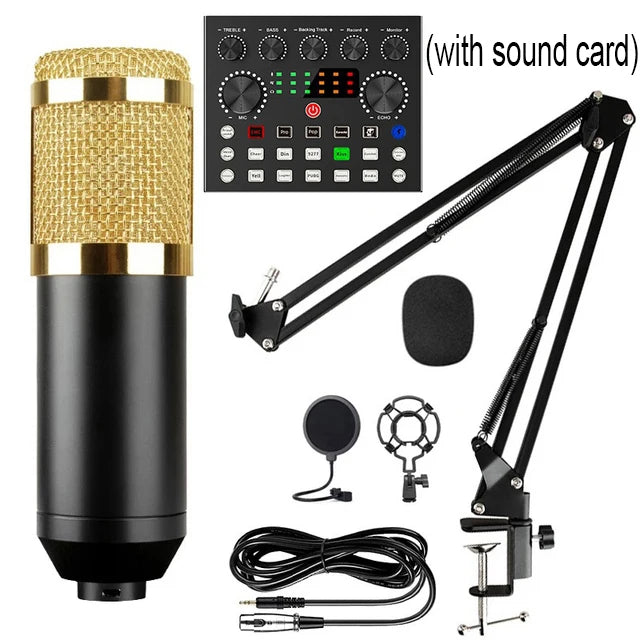 BM800 Microphone Kit