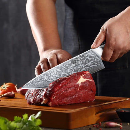 Professional Chef's Knives Japanese 67 Layer Damascus Steel 