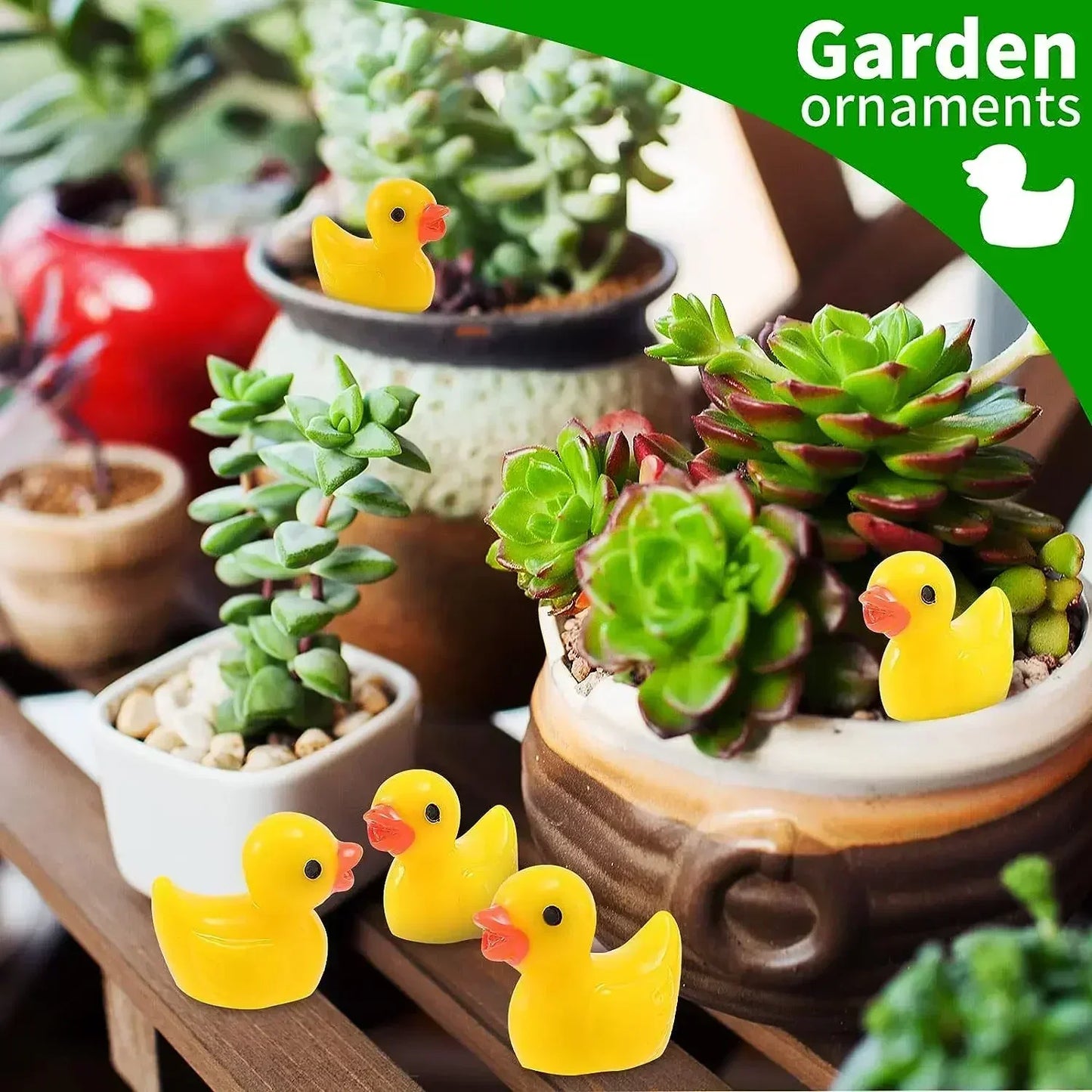 Set Mini Resin Tiny Ducks 