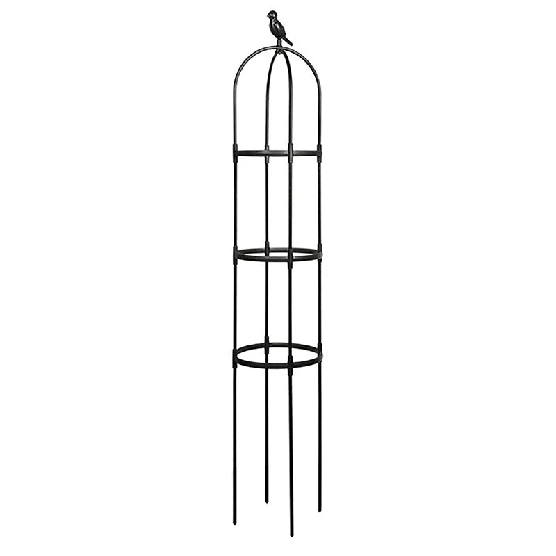 Climbing Plant Trellis