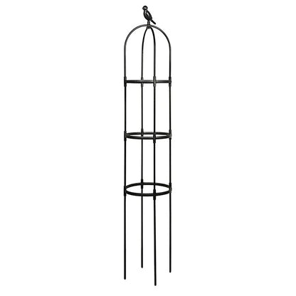 Climbing Plant Trellis