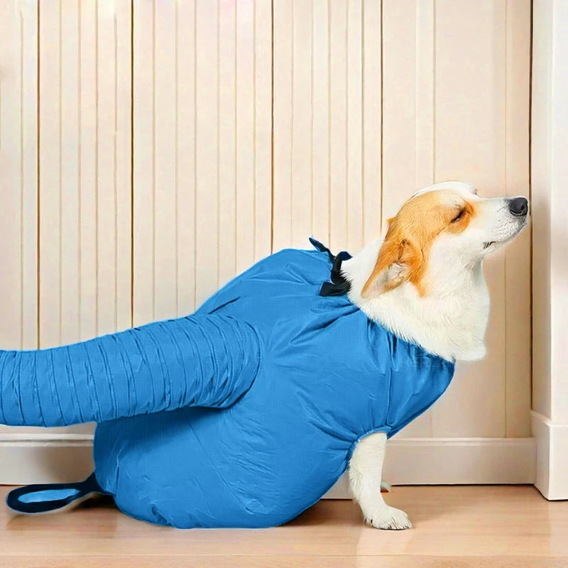 Pet Dogs Drying Bags Dryer Hair Blow 