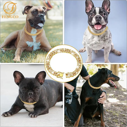 Dog Chain Collar Luxury Gold 