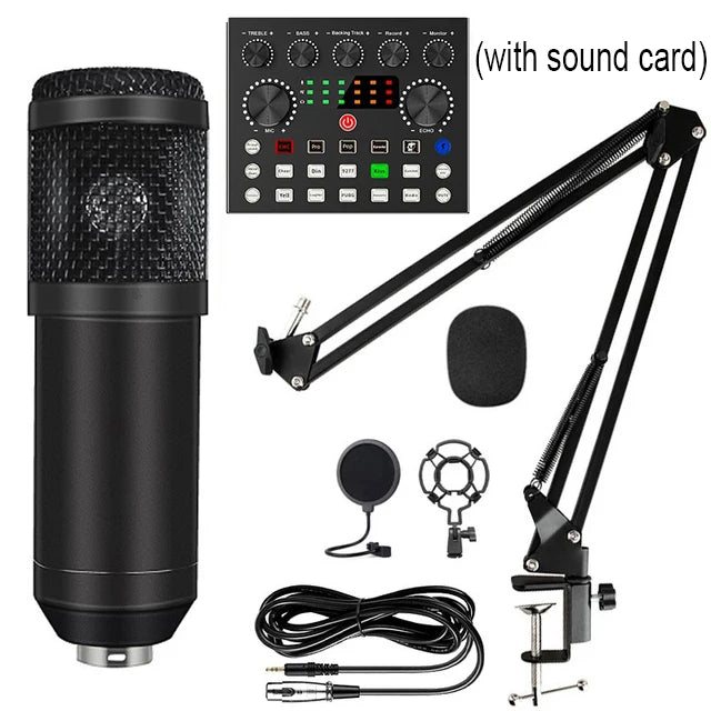 BM800 Microphone Kit
