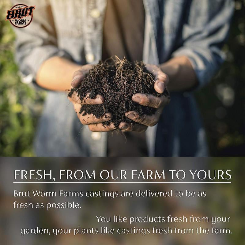 Natural Organic Worm Castings Soil Builder