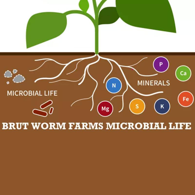 Natural Organic Worm Castings Soil Builder